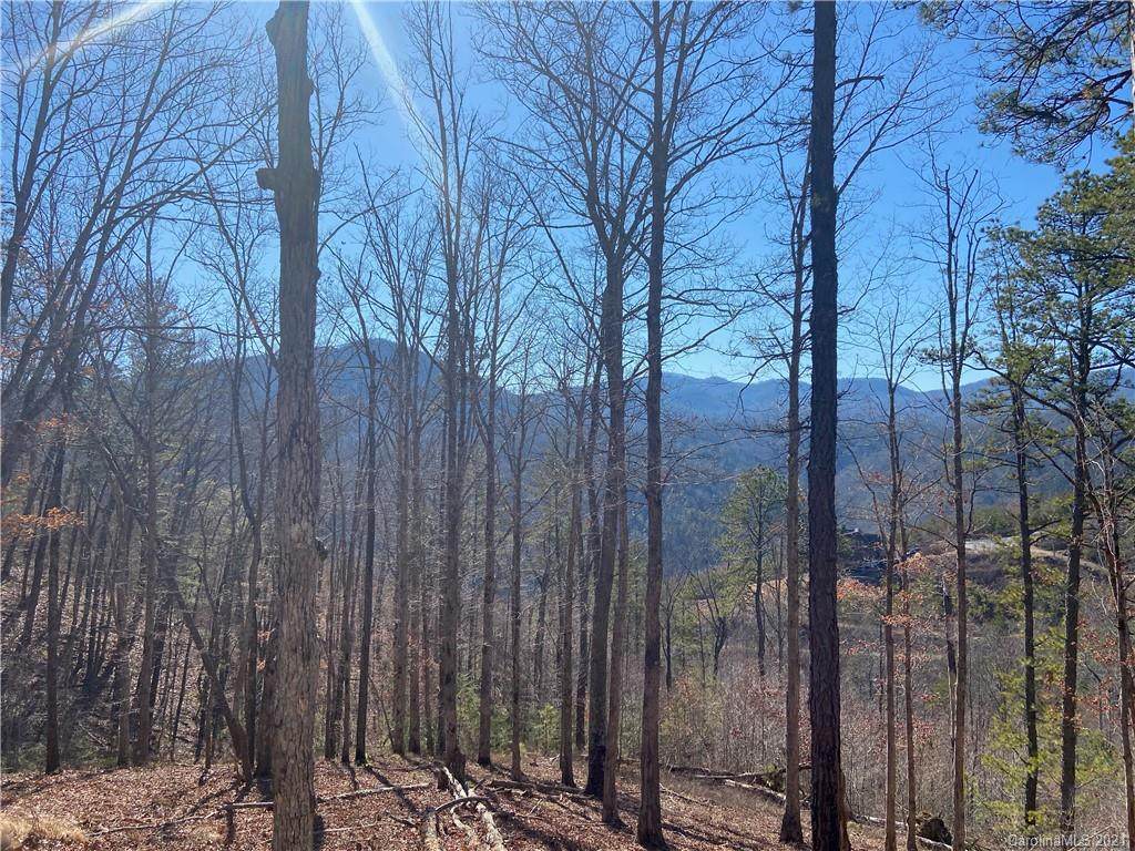567 Wild River Run - Photo 1