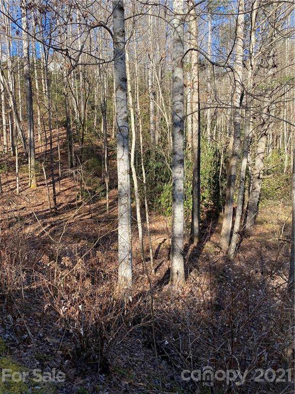 Lot 57 Waterford Lane - Photo 1