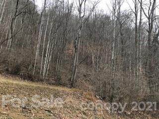 V/L Holland Creek Road - Photo 1