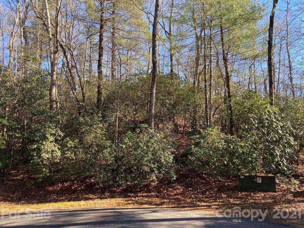 Lot 48 Svgata Court - Photo 1