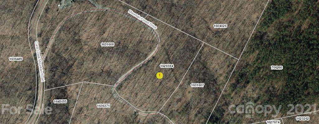 0 Cane Creek Mountain Road - Photo 1