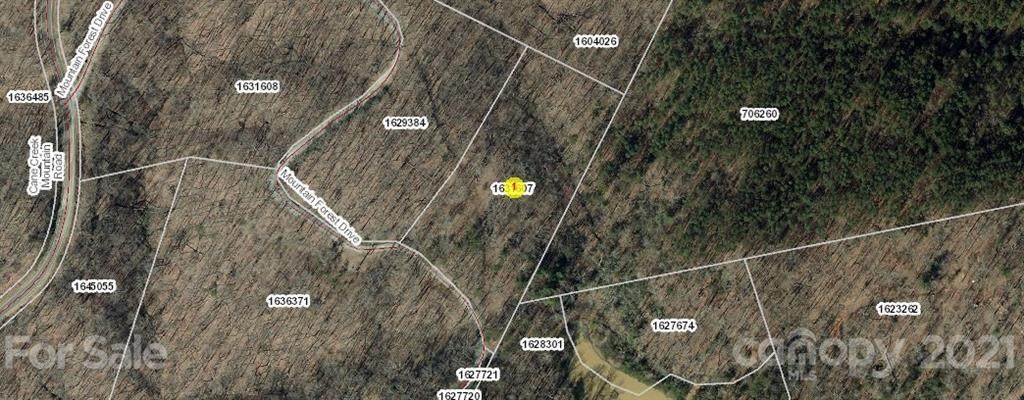 0 Cane Creek Mountain Road - Photo 1