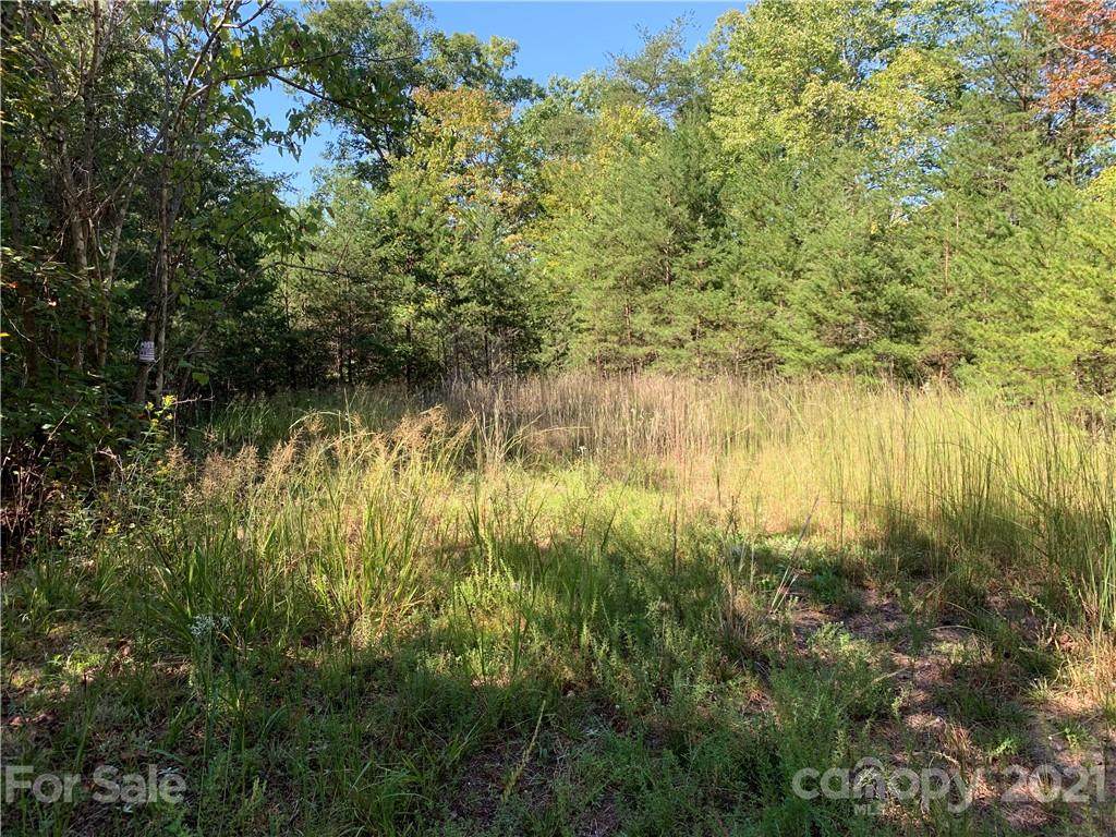 999 Horse Whisper Way - Photo 1