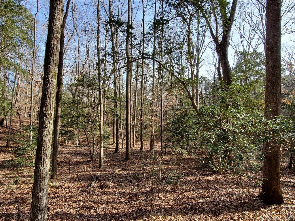 8281 Monbo Road - Photo 1