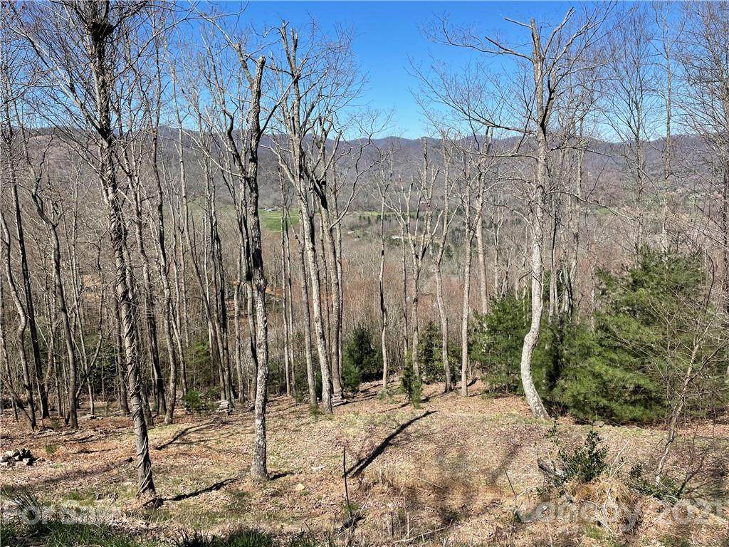 9 Deer Grass Court - Photo 1