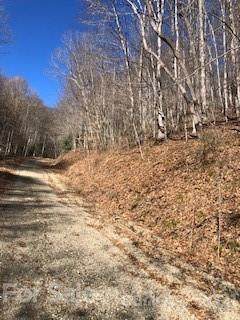 00 Bent Pine Road - Photo 1