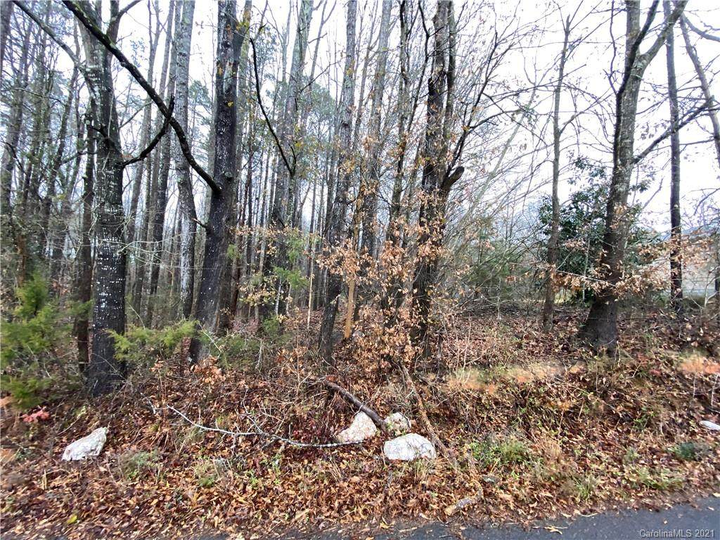 0000 Daisy Couch Road - Photo 1