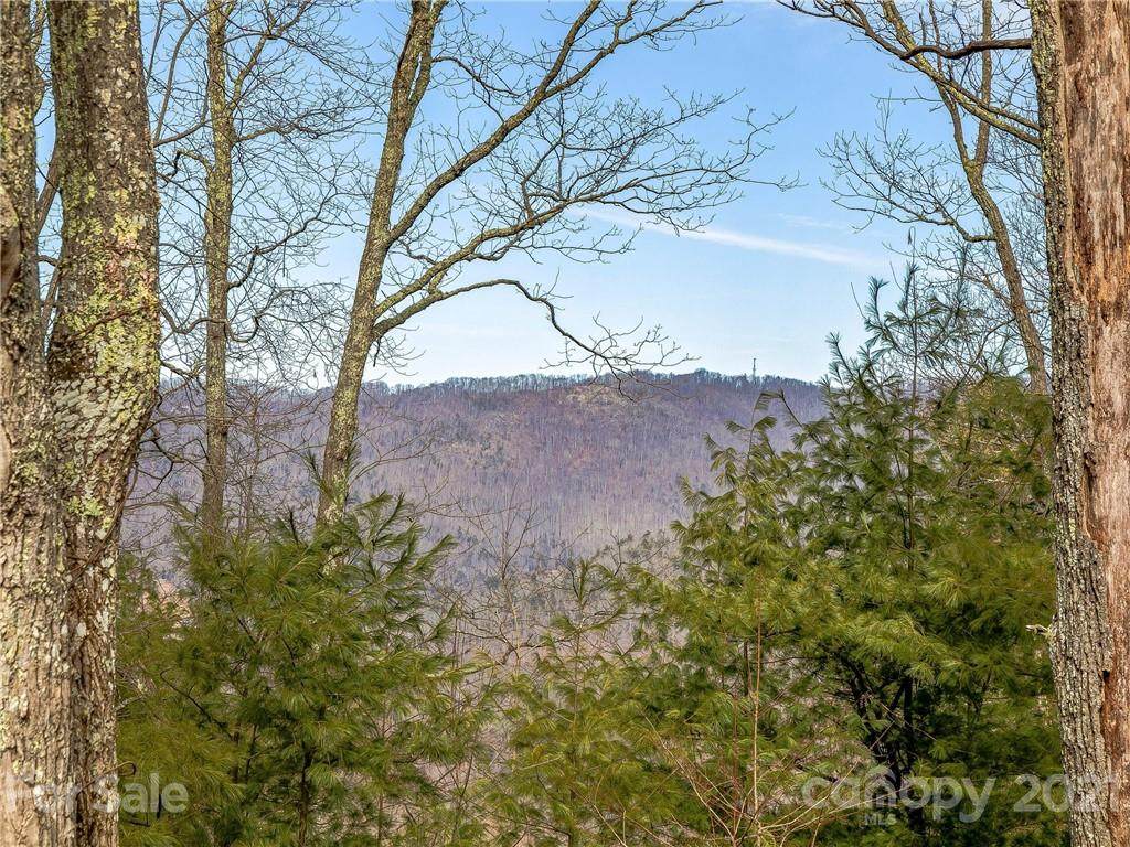 999 Falconwood Lane - Photo 1