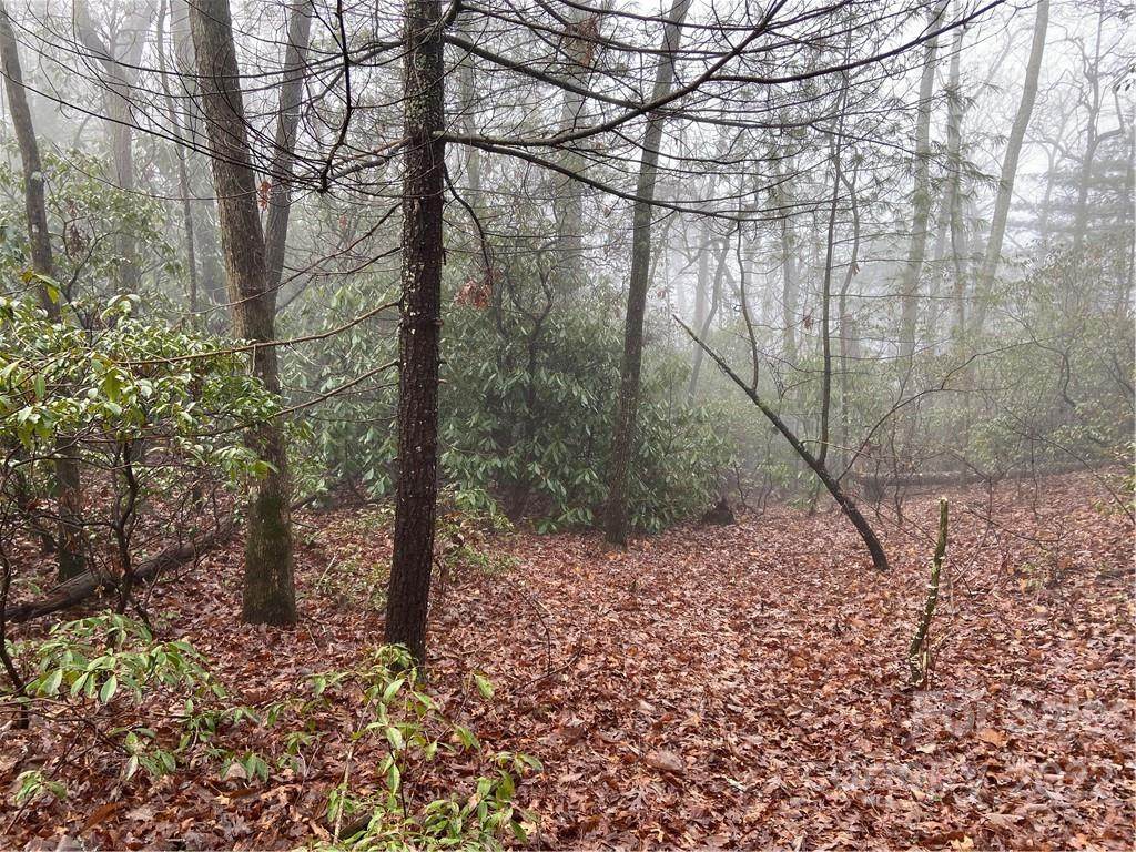 0 Huckleberry Mountain Road - Photo 1