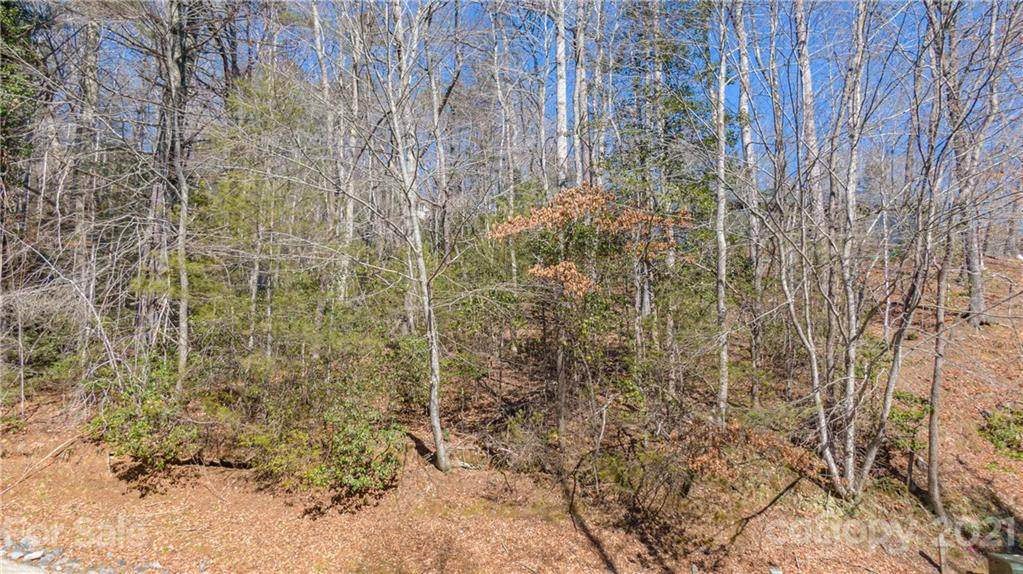 TBD Deerlake Road - Photo 1
