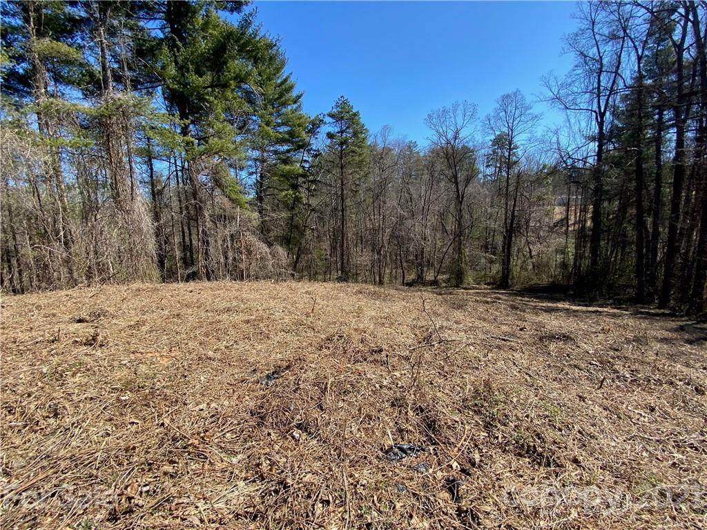 0000 Old Nc 20 Highway - Photo 1