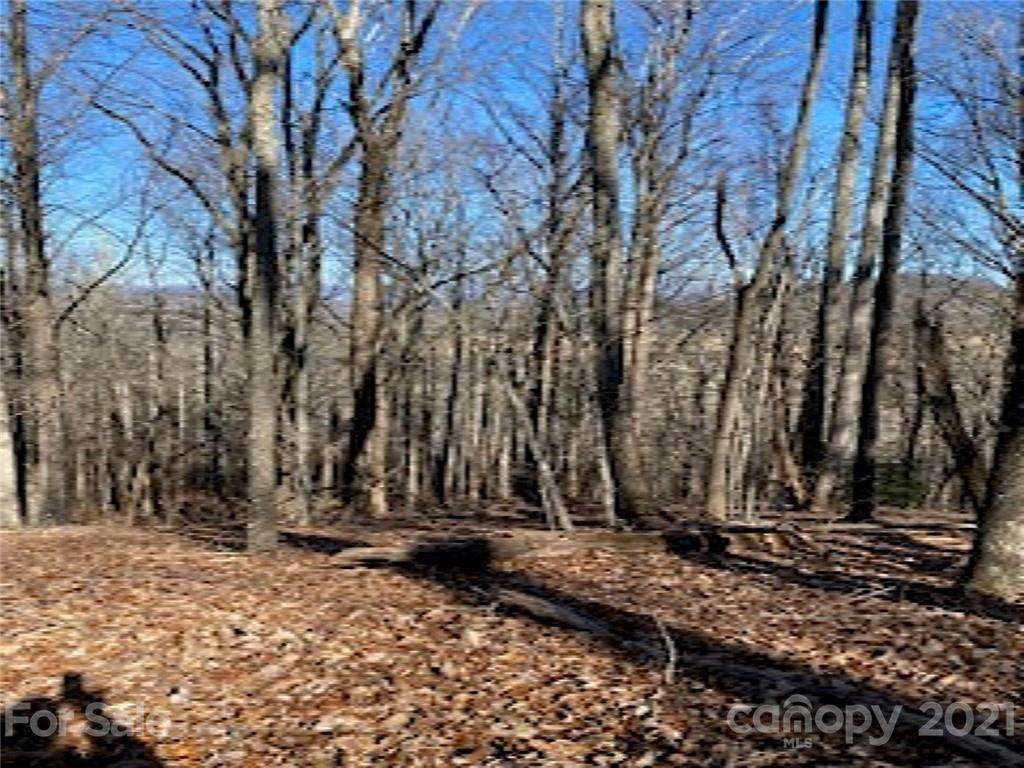 9999 Sluder Branch Road - Photo 1
