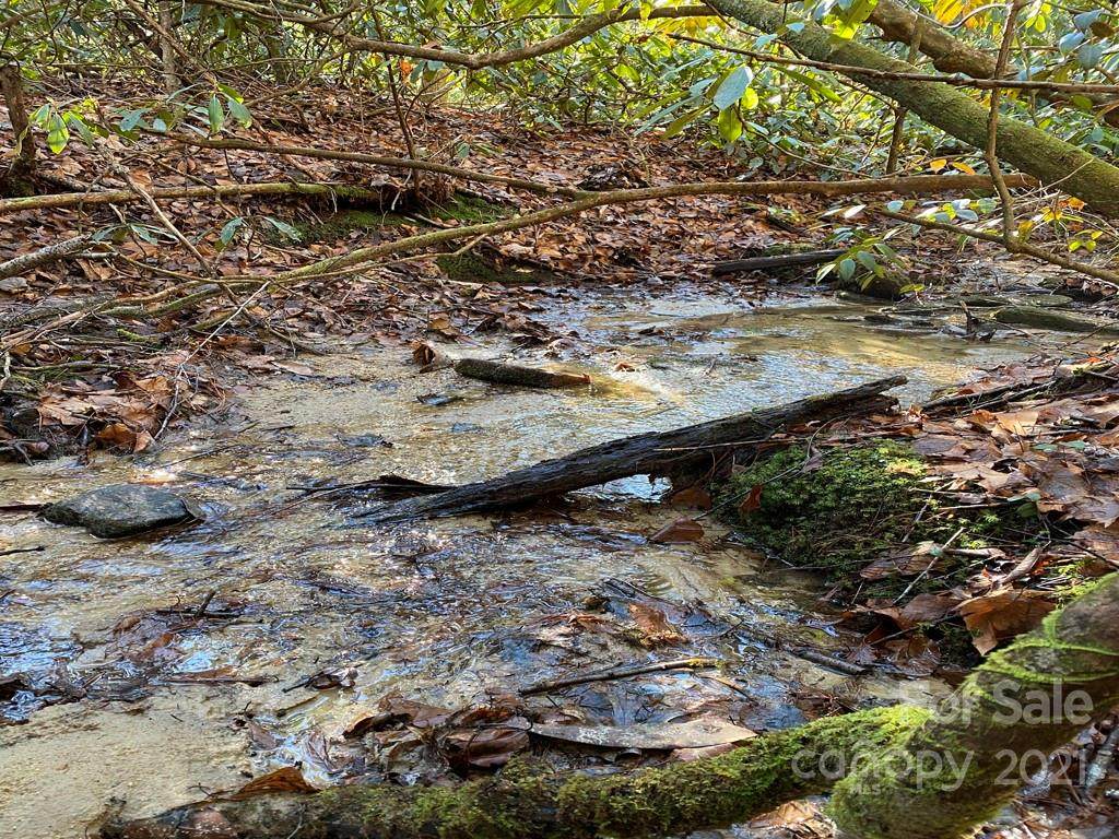 L41 Abby Falls Road - Photo 1