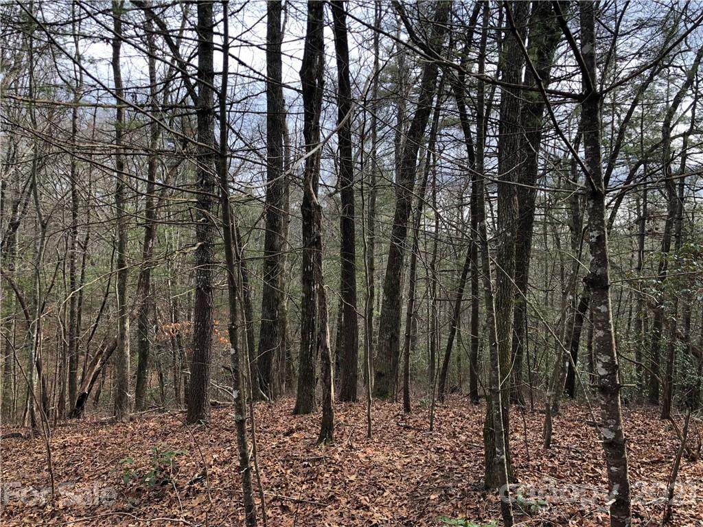Lot 22 Wellspring Way - Photo 1