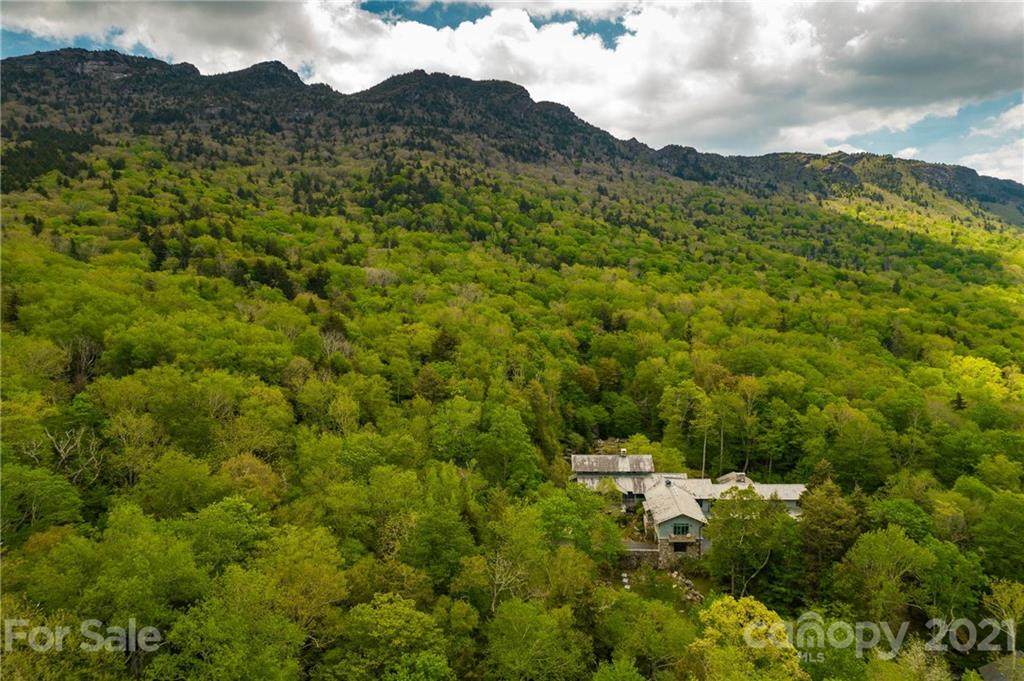1453 Mountain Springs Road - Photo 1