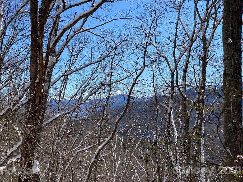 6 Gallant Moose Trail - Photo 1