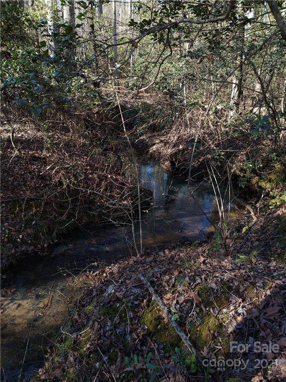 00 Ellenboro Road - Photo 1