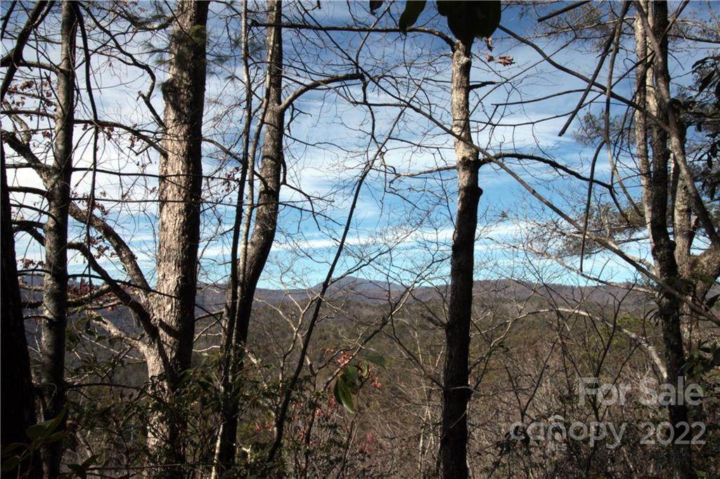 Lot 2 Round Mountain Road - Photo 1