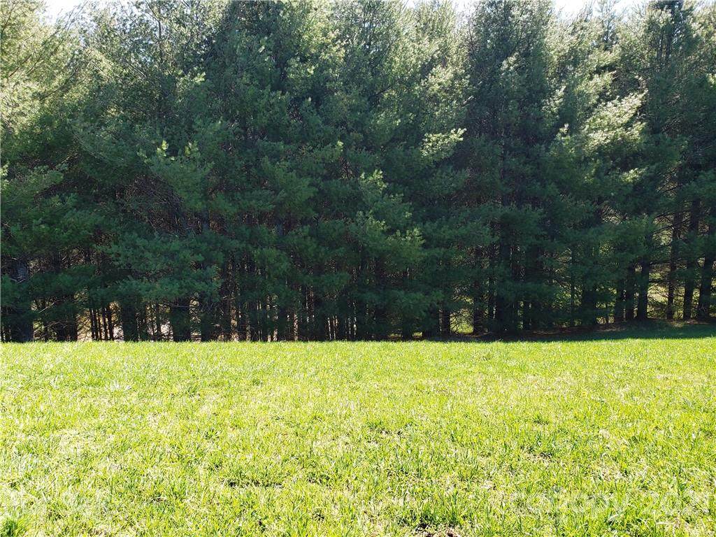 Lot 54 Bear Track Lane - Photo 1