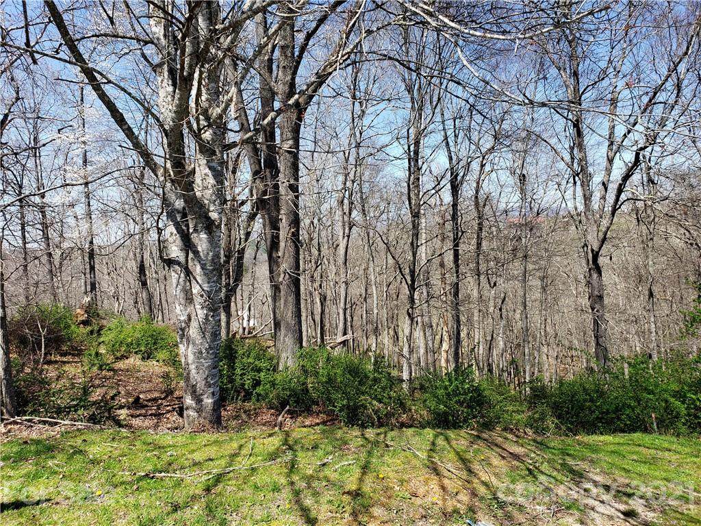 Lot 11 East Ridge Road - Photo 1