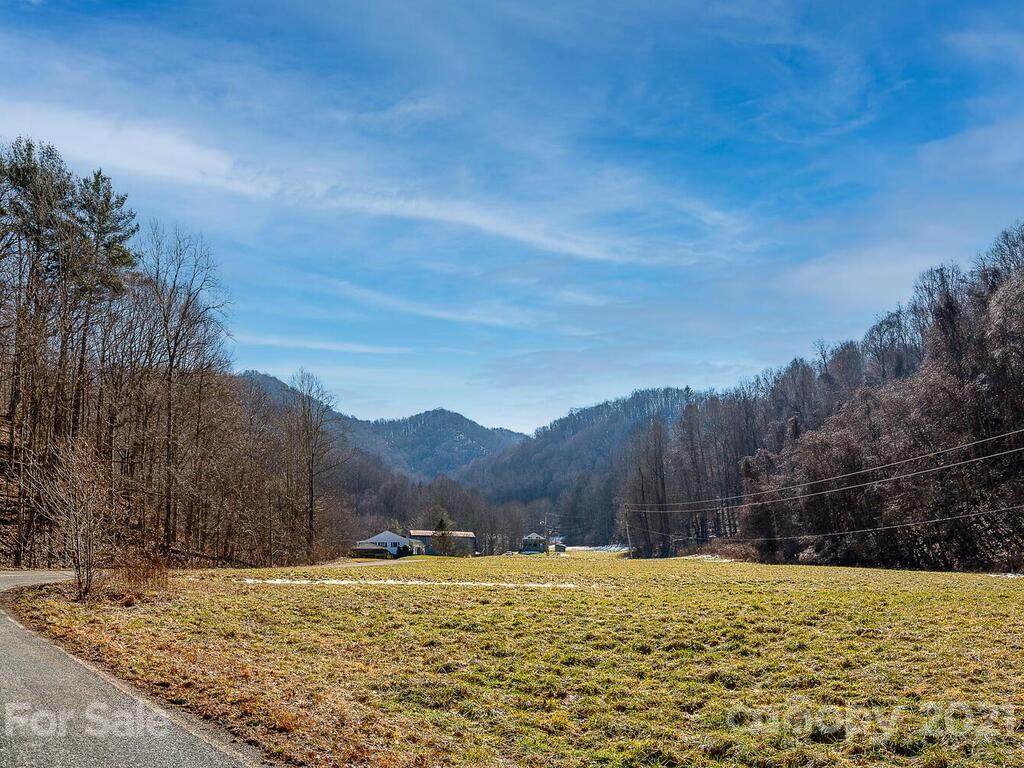 1051 Doug Cove Road - Photo 1