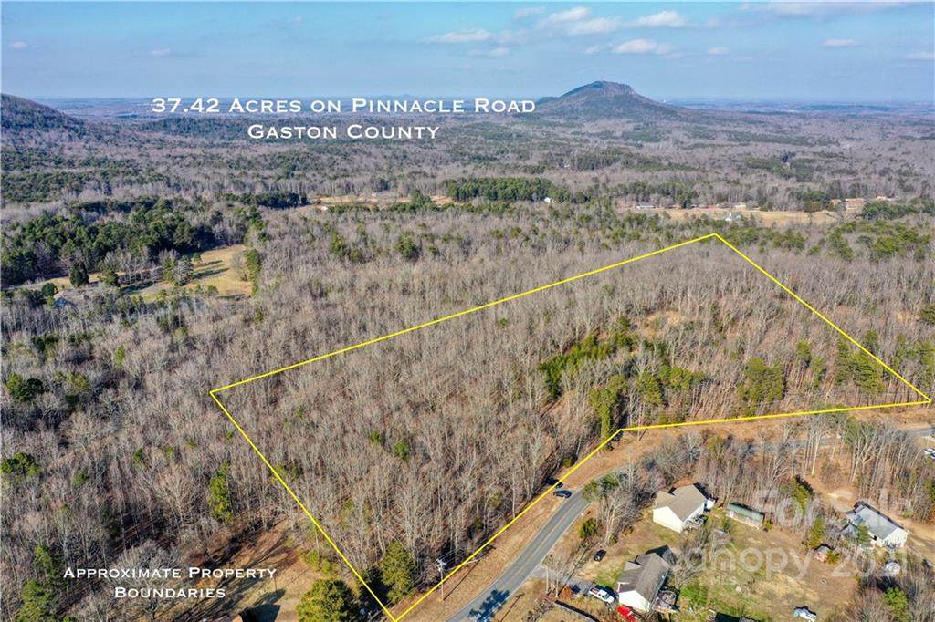 000 Pinnacle Road - Photo 1
