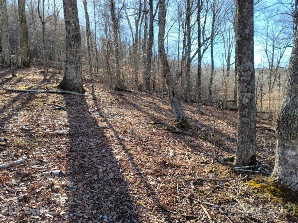 17 Zebulon Lane - Photo 1