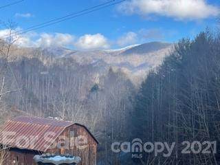 451 Battle Branch Road - Photo 1