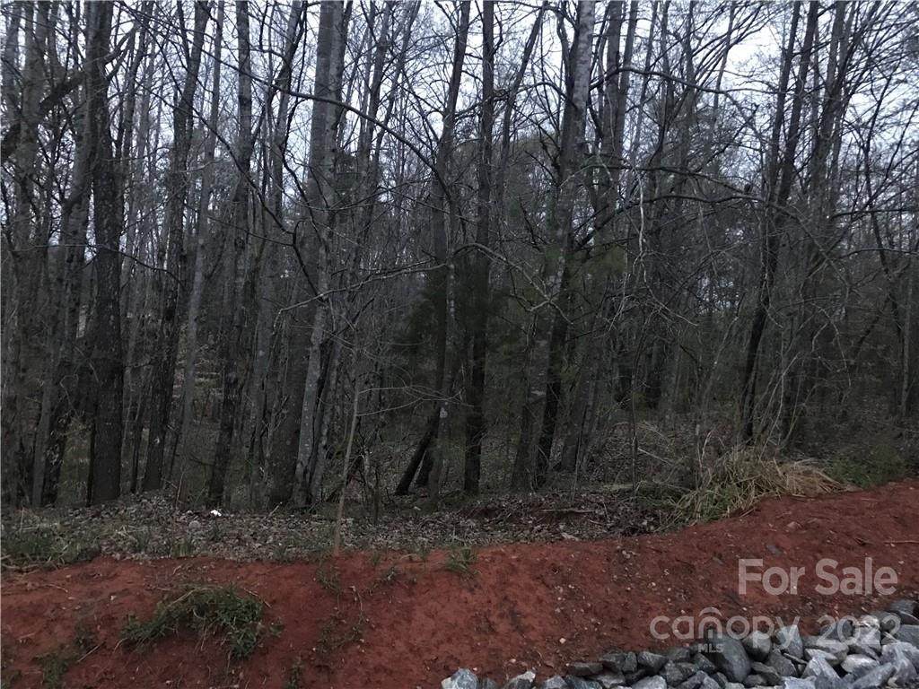 V/L Pine Valley Drive - Photo 1