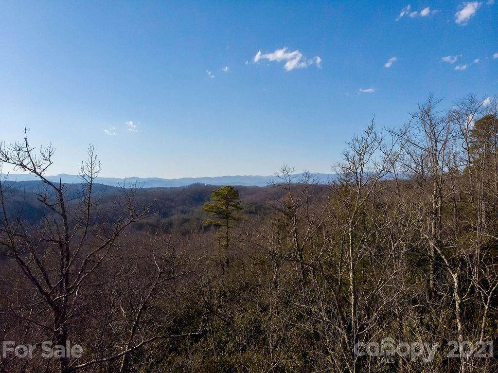 Lot 11 Big Hill Road - Photo 1
