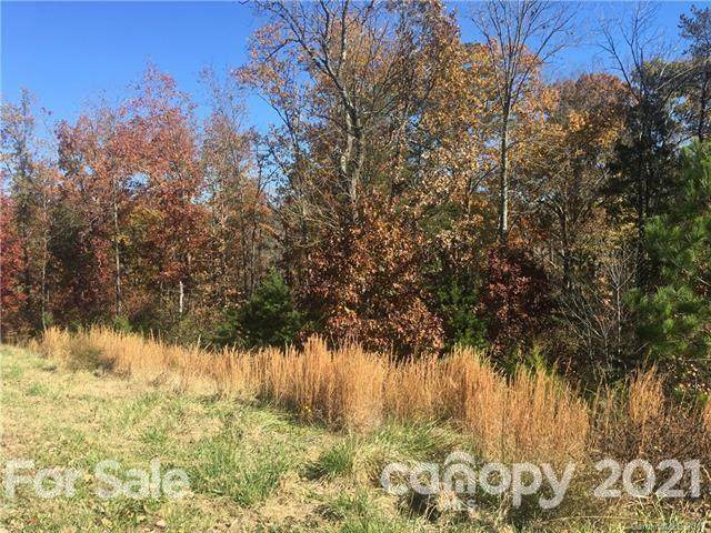 441 Swift Creek Cove - Photo 1