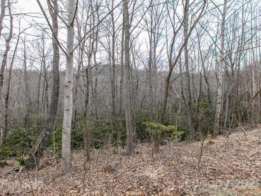 70 Windover Drive - Photo 1