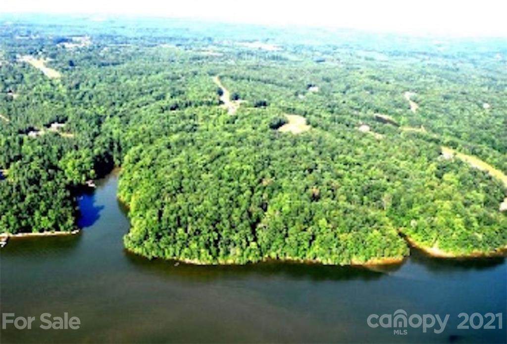 0000 Buffalo Shoals Road - Photo 1
