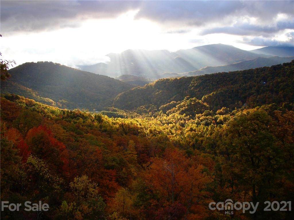 1269 Running Deer Trail - Photo 1