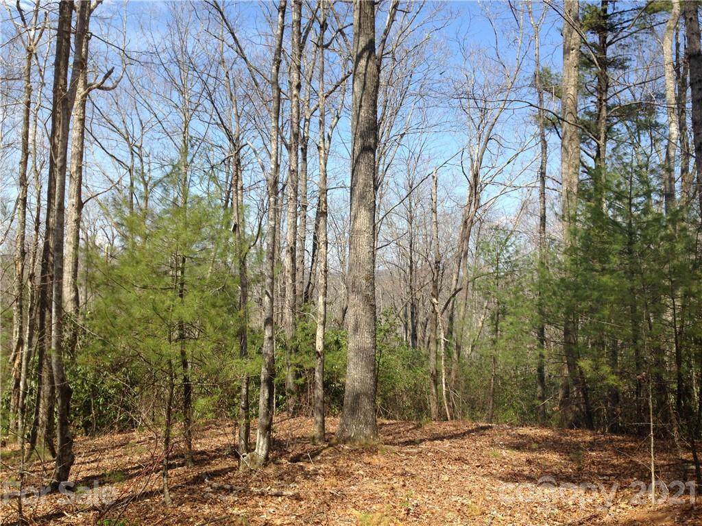 11 Staton Ridge Road - Photo 1