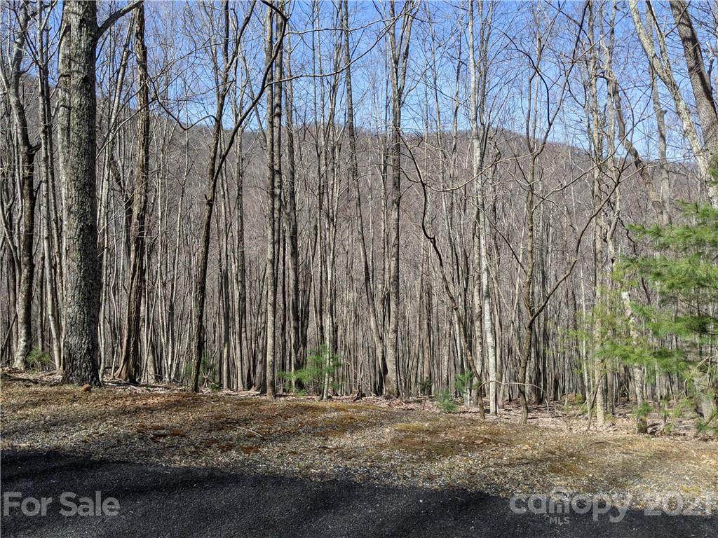 9999 Kanawa Lane - Photo 1
