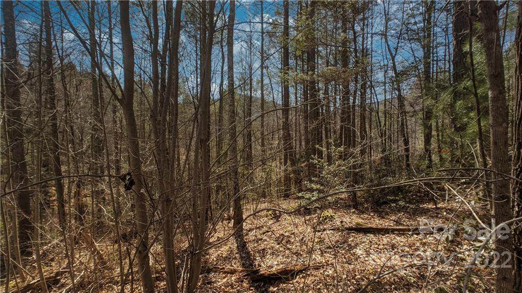 Lot 31 Deer Leap Road - Photo 1