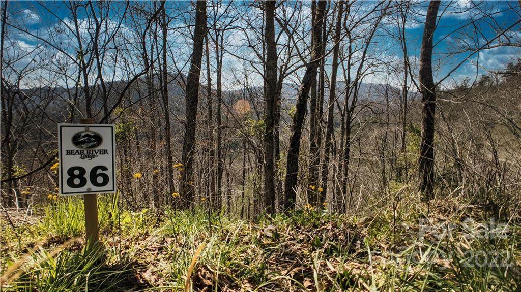 Lot 86 Lonesome Trail - Photo 1