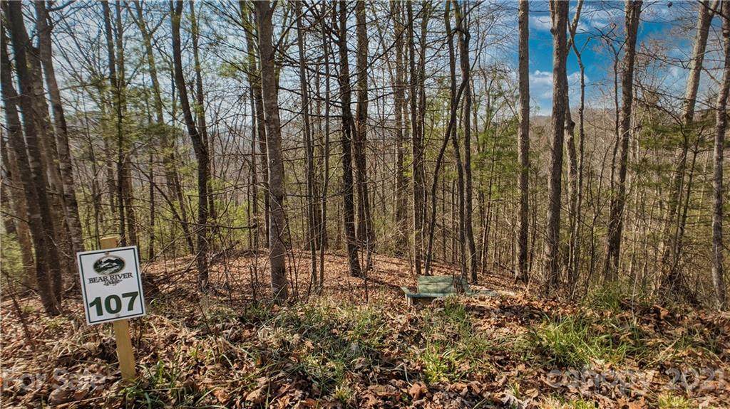 Lot 107 Laurel Ridge - Photo 1