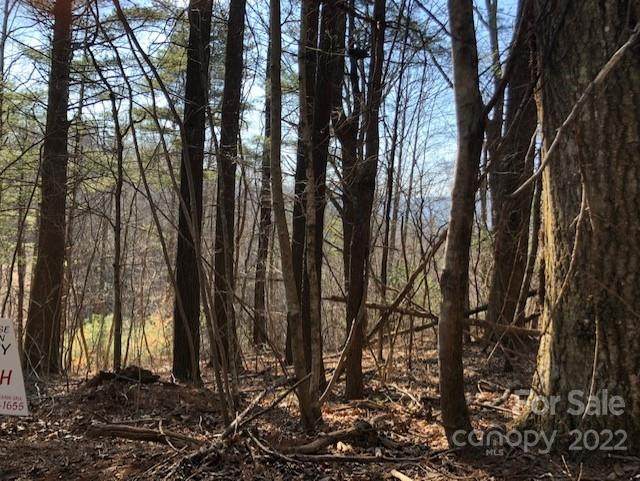 0 Branch Road - Photo 1