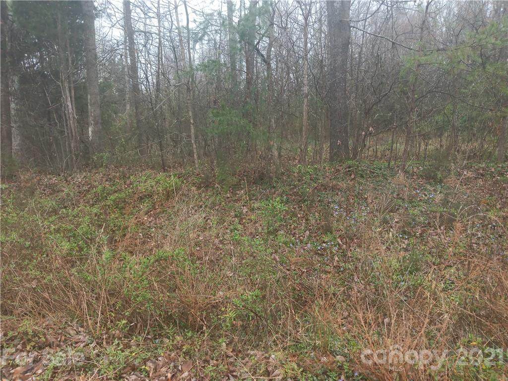 650 Ridgeland Drive - Photo 1