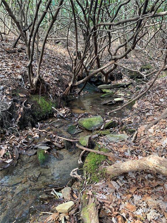 TBD Speckled Trout Run - Photo 1