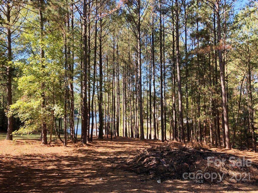 1625 Lillys Bridge Road - Photo 1