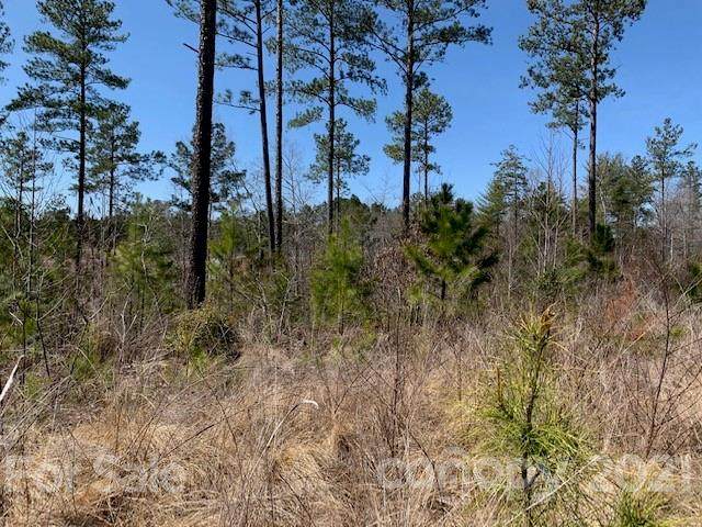 00 Waters Edge Drive - Photo 1