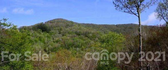 999 Zebulon Lane - Photo 1