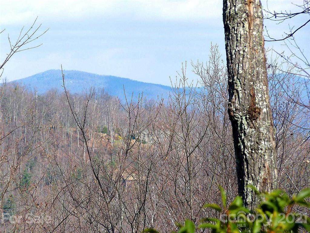 101 Bollers Knob Lane - Photo 1