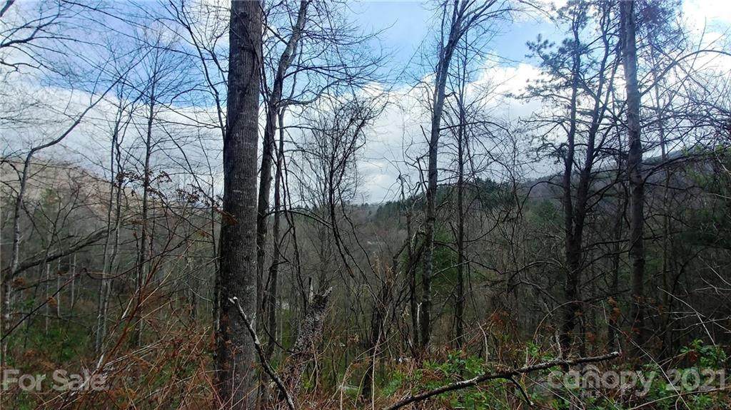 1 Lumberton Ridge - Photo 1