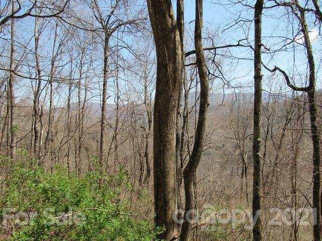 TBD Wildwood Drive - Photo 1