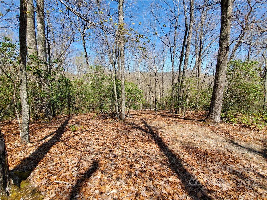 2008 Song Breeze Trail - Photo 1