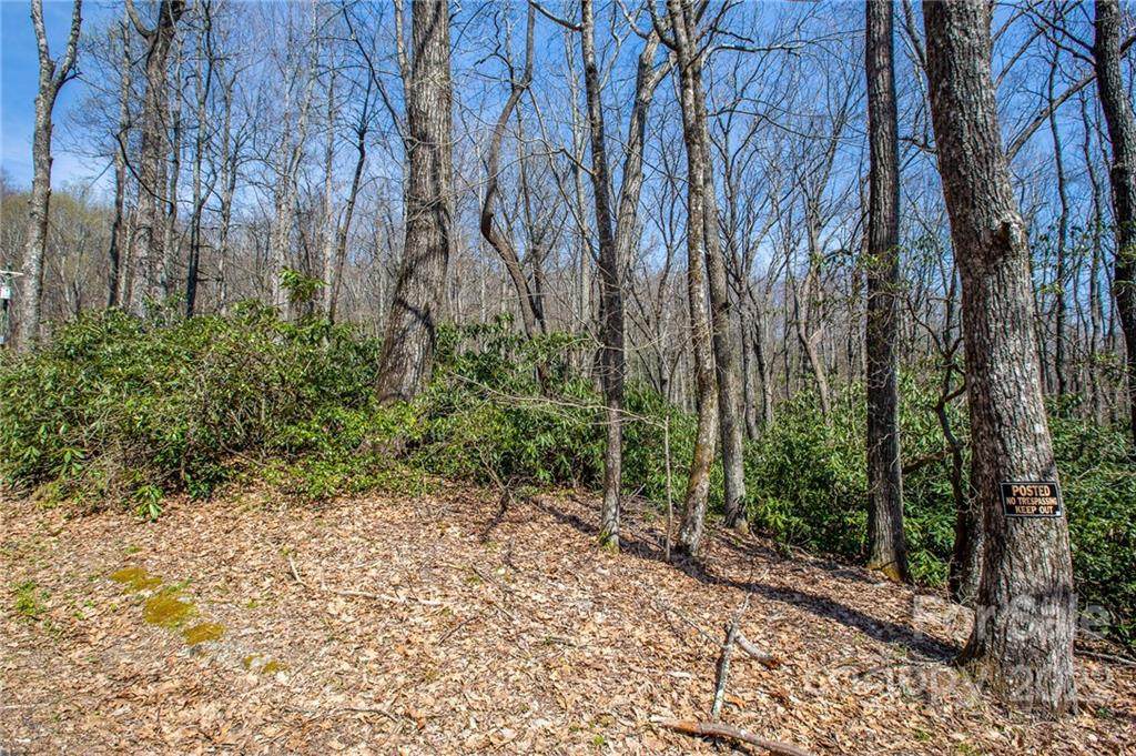 999 Bear Rock Road - Photo 1